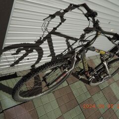 マウンテンバイク風な自転車の画像