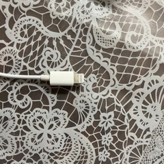 Lightning↔︎イヤホンジャック　変換コードの画像