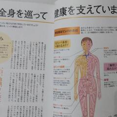 むくみ体質からやせ体質へ！リンパストレッチ　ミニサイズ新装版 の画像