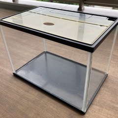 あげます　水槽の画像