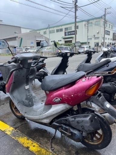 ライブディオチェスタ買い物にも