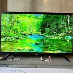 Hisense 55型 4K液晶テレビ