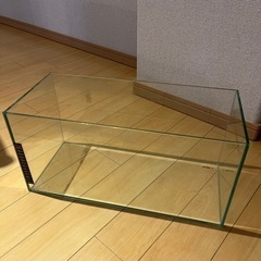決まりました 水槽 