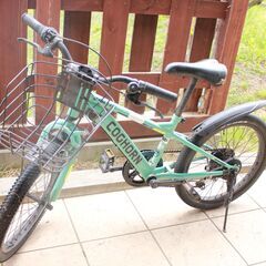 【5-9歳くらい】子供用自転車20インチ 【身長110㎝～135㎝】