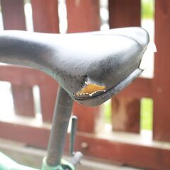 【5-9歳くらい】子供用自転車20インチ 【身長110㎝～135㎝】の画像