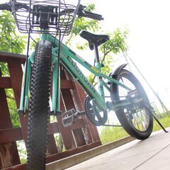 【5-9歳くらい】子供用自転車20インチ 【身長110㎝～135㎝】の画像