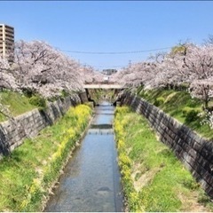 平日休みの人！朝活ウォーキングしませんか？！🚶‍♀️ - 名古屋市
