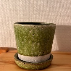 花瓶、植木鉢、植物など12点 (別売り可、値段交渉可)の画像