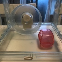 ハムスターケージ・グラスハーモニー300 決まりましたの画像