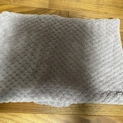 電子レンジで温める湯たんぽの画像