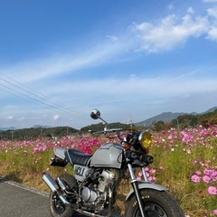 ホンダエイプの画像