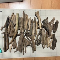 流木大量セット