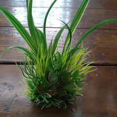 エアーポンプ他の画像