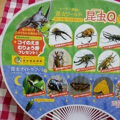 チケット　ネオパークオキナワ　入園券　どうぶつのおやつ無料券の画像