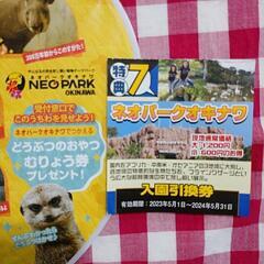 チケット　ネオパークオキナワ　入園券　どうぶつのおやつ無料券