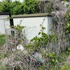 家具 収納家具 物置の画像
