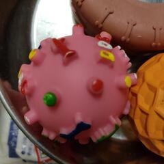 犬のおもちゃの画像