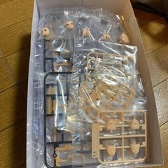 
ブロッカーズ　フィオーレアイリスの画像