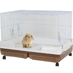 うさぎ小屋
