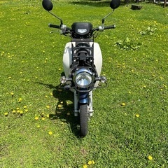 AA04 スーパーカブ 50 プロの画像