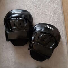 ボクシングミット