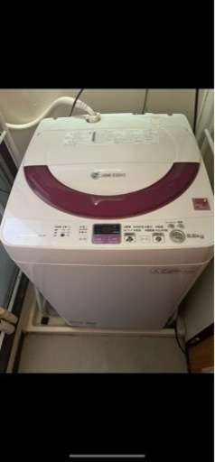 家電 生活家電 洗濯機
