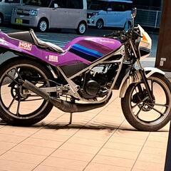 原付き一種 SUZUKI RG50ガンマの画像