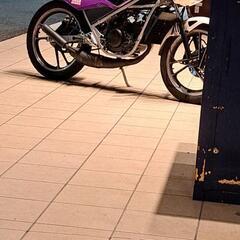 原付き一種 SUZUKI RG50ガンマの画像