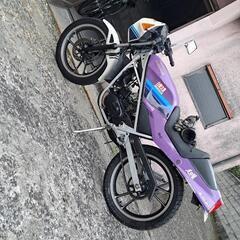 原付き一種 SUZUKI RG50ガンマの画像
