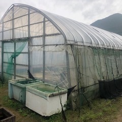 値下げしました‼️   ビニールハウス
