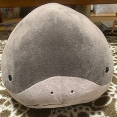 【新品未使用保管品】ポケモン　ドオー　ぬいぐるみ