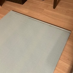 【受け渡し確定
】スタイロフォーム20mm厚み の画像