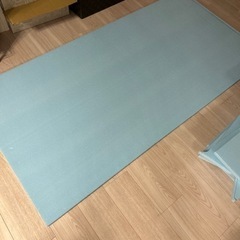 【受け渡し確定
】スタイロフォーム20mm厚み の画像