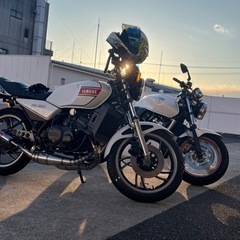RZ250  国内の画像