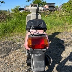 ホンダ | HONDA イブパックス | EVE PAX 原付50㏄バイク旧車昭和の画像