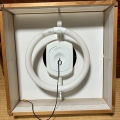 照明 和風　電気セット