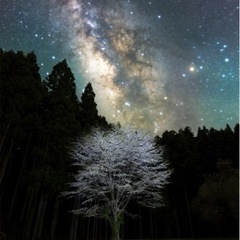 カメラ好き初期メンバー募集✨