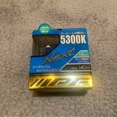 車用 ヘッドライト ロービーム 5300K