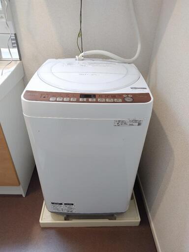 SHARP 2020年製 7kg 洗濯機