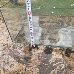 水槽の画像
