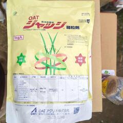 水稲育苗箱殺菌殺虫剤