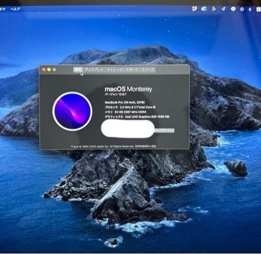 Macbook Pro 2019 64GB 1TB 2667 MHz DDR4