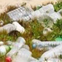 森林.浜の清掃ボランティア