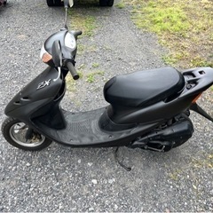 795.　動画あり　ホンダ　ライブディオZX仕様　原付　バイク　50cc   車体　2ストの画像