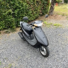 795.　動画あり　ホンダ　ライブディオZX仕様　原付　バイク　50cc   車体　2ストの画像