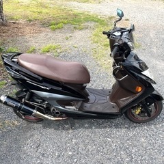 796.　動画あり　シグナスX  SE44J  3型　小型　バイク　125cc  車体の画像