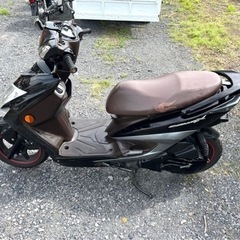 796.　動画あり　シグナスX  SE44J  3型　小型　バイク　125cc  車体の画像