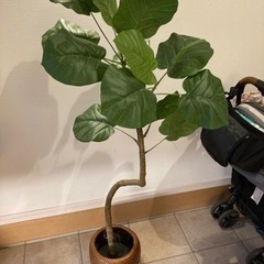 【受け渡し者決定】観葉植物　フェイクグリーン