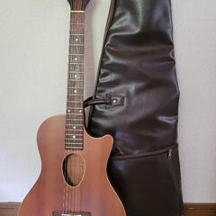 楽器 弦楽器、ギター