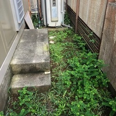 草むしり
